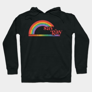 Florida Say Gay I Will Say Gay LGBTQ Gay Rights Shirt Hoodie